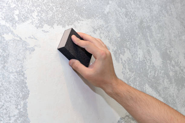 Best Mold Prevention Services  in St Bernard, OH