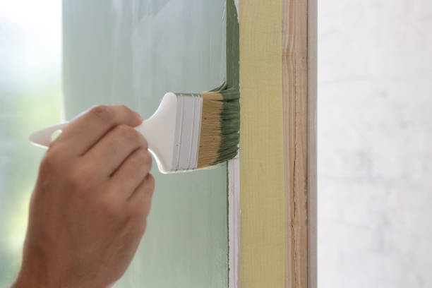 Best Water Damage & Mold Remediation  in St Bernard, OH