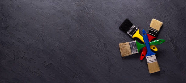 Best Black Mold Removal  in St Bernard, OH